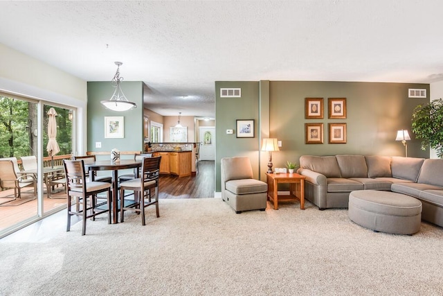 8833 W Velt Ave, Baldwin, MI 49304 - carpeted living area featuring a textured ceiling