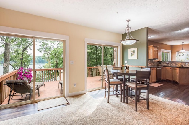 8833 W Velt Ave, Baldwin, MI 49304 - dining room featuring plenty of natural light, a textured ceiling, dark wood-style flooring, and baseboards