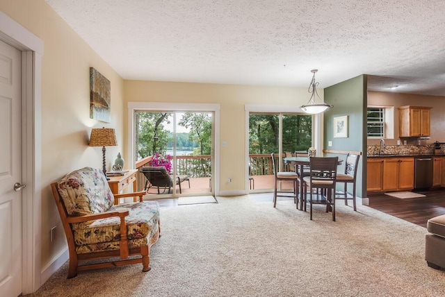 8833 W Velt Ave, Baldwin, MI 49304 - living area featuring a textured ceiling, dark carpet, and baseboards