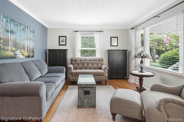 300 Cornell St, Howell, MI 48843 - living area with plenty of natural light, light wood-style floors, and crown molding