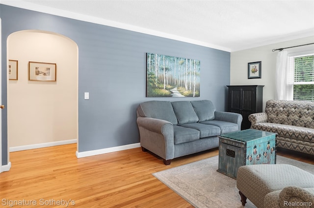 300 Cornell St, Howell, MI 48843 - living room with arched walkways, light wood-type flooring, and baseboards