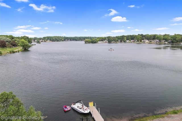 300 Cornell St, Howell, MI 48843 - water view