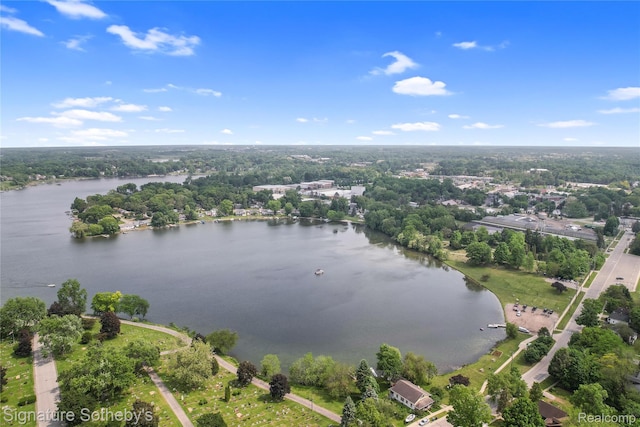 300 Cornell St, Howell, MI 48843 - aerial view of a large body of water