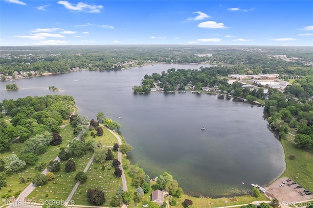 300 Cornell St, Howell, MI 48843 - bird's eye view of a large body of water and a heavily wooded area
