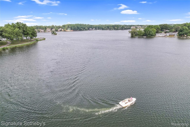 300 Cornell St, Howell, MI 48843 - water view