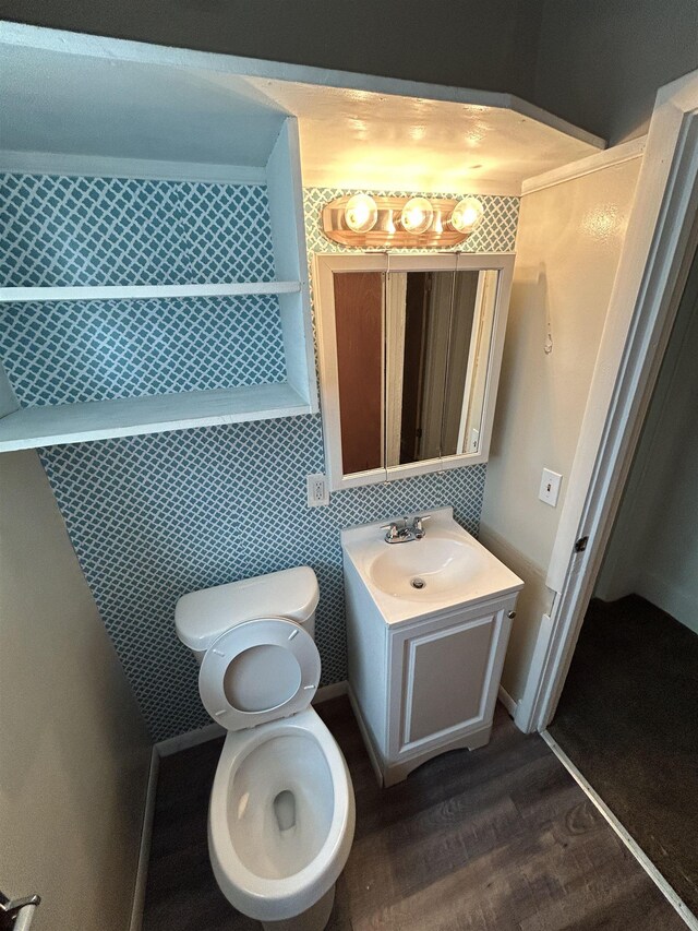 1015 Alvord Ave, Flint, MI 48507 - bathroom featuring vanity, wood finished floors, and toilet