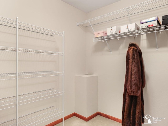 9241 Legacy Ct, Temperance, MI 48182 - spacious closet featuring carpet floors