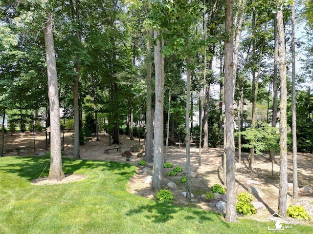 9241 Legacy Ct, Temperance, MI 48182 - view of grassy yard