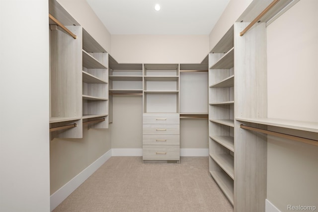 4174 Prescott Park Cir W, Bloomfield, MI 48323 - walk in closet with light carpet