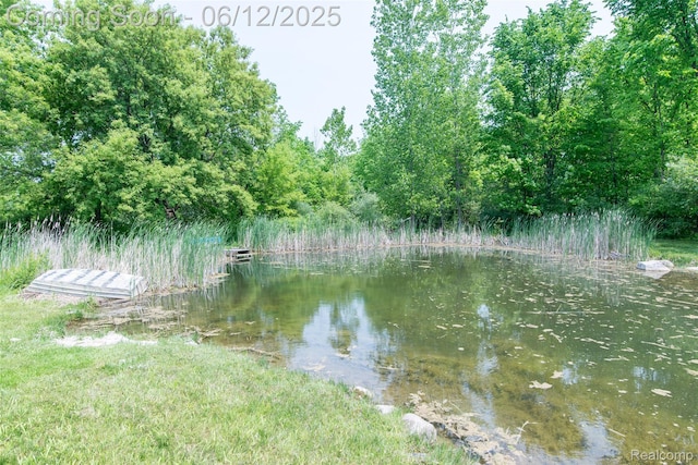 10399 Allen Rd, Clarkston, MI 48348 - water view