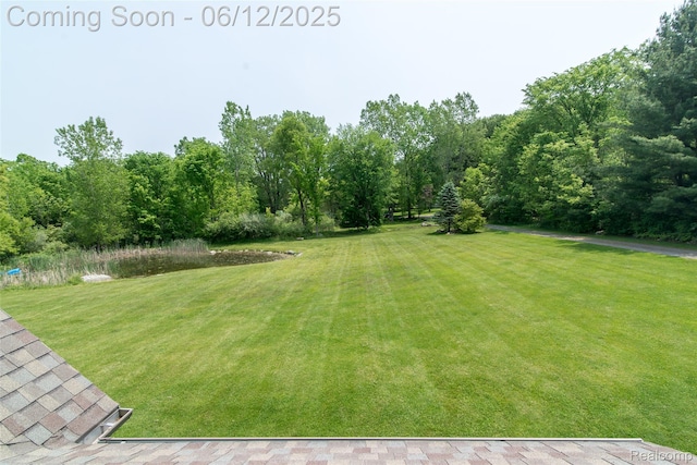10399 Allen Rd, Clarkston, MI 48348 - view of green lawn