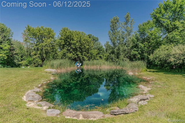 10399 Allen Rd, Clarkston, MI 48348 - view of grassy yard with a water view and a view of trees