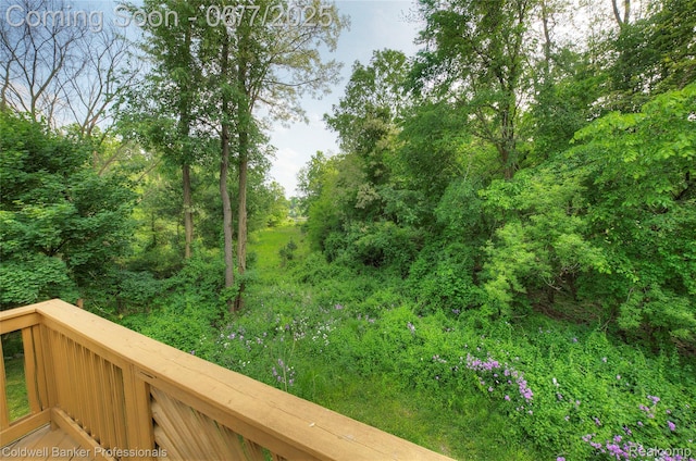 4546 Forest Edge Ln, West Bloomfield, MI 48323 - view of yard