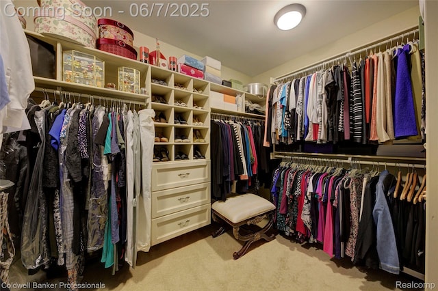 4546 Forest Edge Ln, West Bloomfield, MI 48323 - spacious closet featuring carpet floors