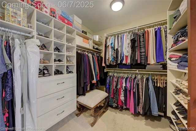 4546 Forest Edge Ln, West Bloomfield, MI 48323 - walk in closet featuring carpet floors