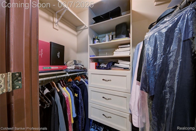 4546 Forest Edge Ln, West Bloomfield, MI 48323 - view of spacious closet