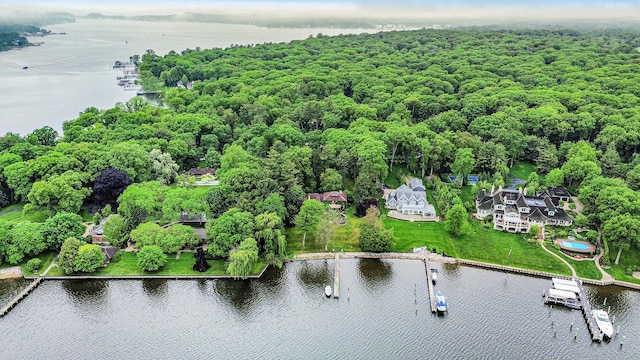 371 Waukazoo Dr, Holland, MI 49424 - drone / aerial view of a large body of water