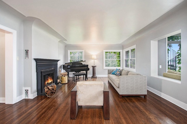 371 Waukazoo Dr, Holland, MI 49424 - living area with dark wood-type flooring, a glass covered fireplace, and baseboards