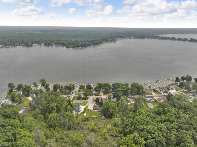 8370 Horton Beach Rd, Manitou Beach, MI 49253 - photo 33