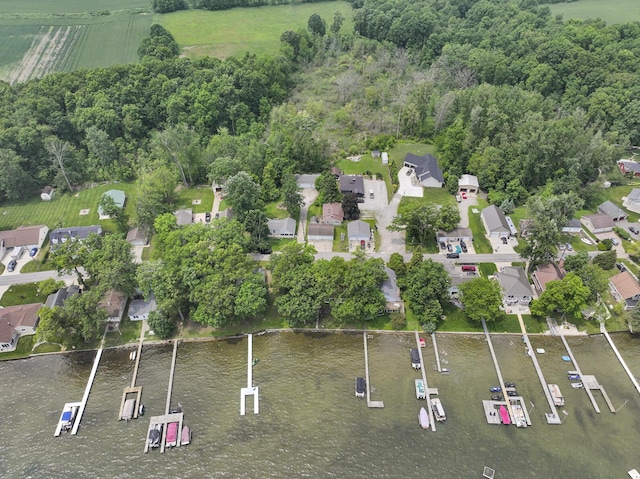 8370 Horton Beach Rd, Manitou Beach, MI 49253 - photo 36