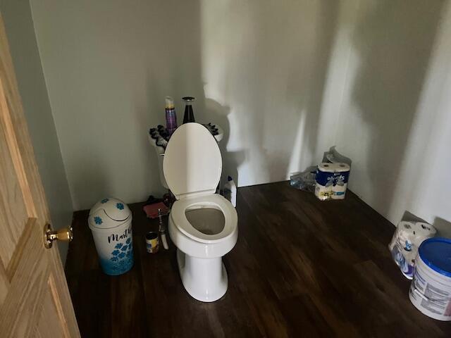 5195 Chief Rd, Brethren, MI 49619 - bathroom with toilet and wood finished floors