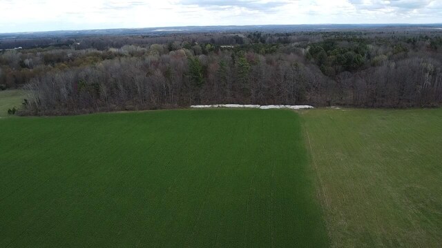 5195 Chief Rd, Brethren, MI 49619