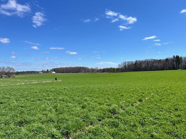 5195 Chief Rd, Brethren, MI 49619 - view of green lawn with a rural view