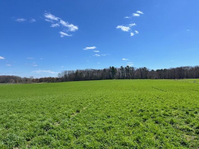 5195 Chief Rd, Brethren, MI 49619