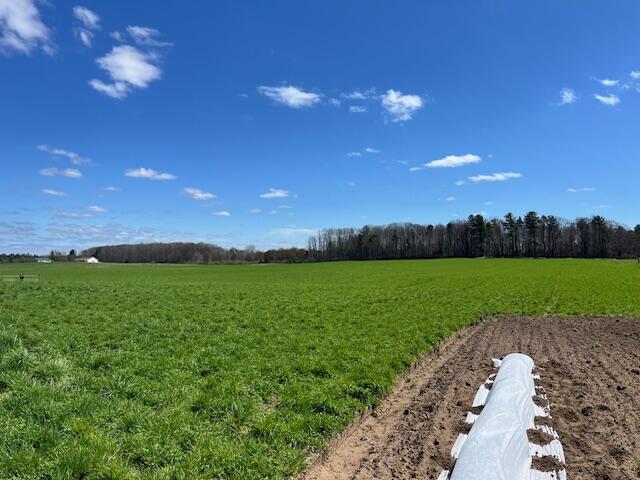 5195 Chief Rd, Brethren, MI 49619