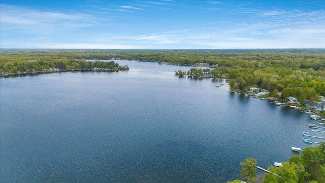 4805 Pinellas Dr, Hale, MI 48739 - water view with a forest