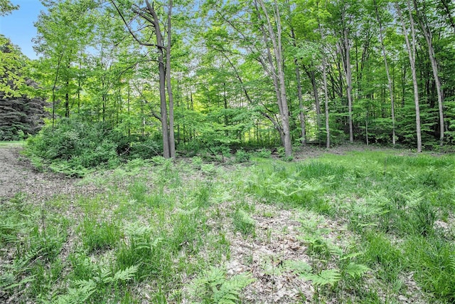 0 Warren Rd, Beulah, MI 49617