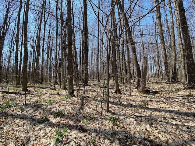 LOT6 Willow Bnd, Bellaire, MI 49615