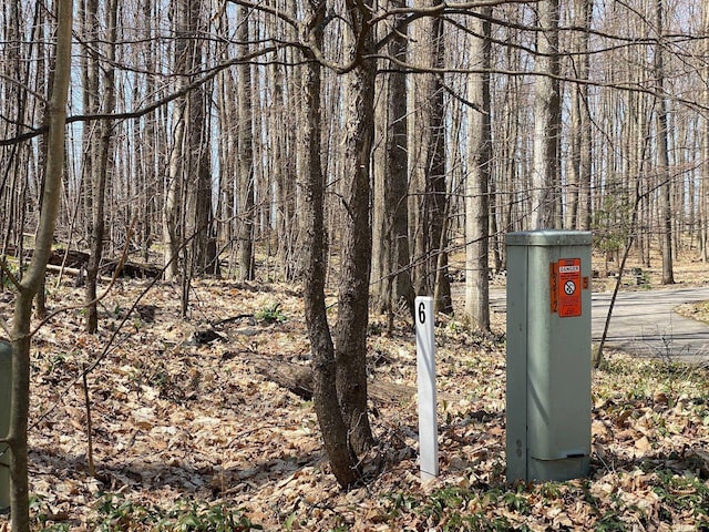 LOT6 Willow Bnd, Bellaire, MI 49615