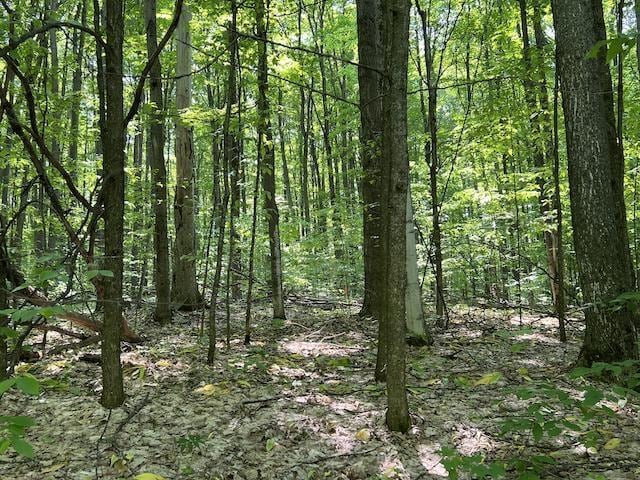 LOT6 Willow Bnd, Bellaire, MI 49615