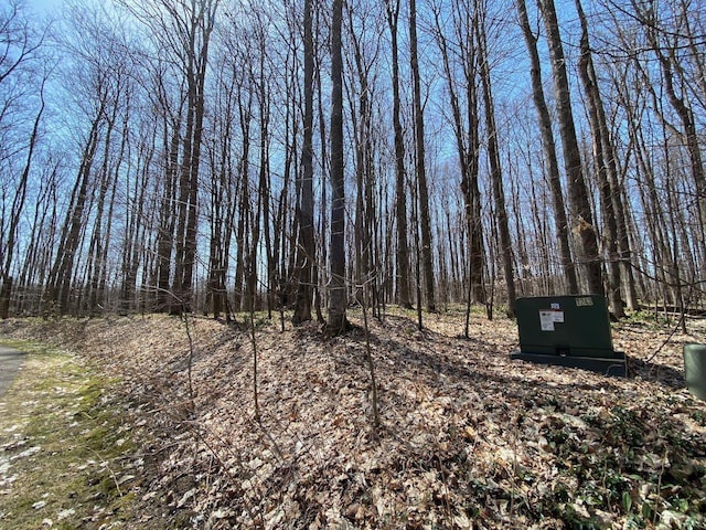 LOT6 Willow Bnd, Bellaire, MI 49615