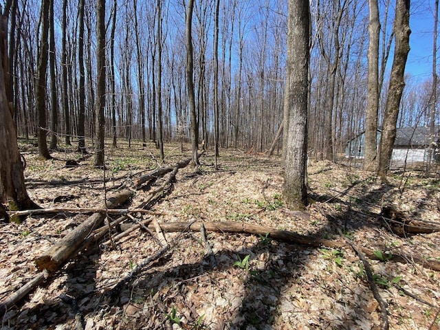 LOT6 Willow Bnd, Bellaire, MI 49615