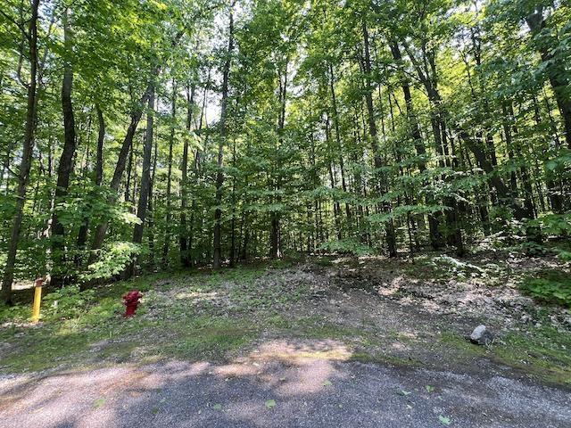 LOT6 Willow Bnd, Bellaire, MI 49615