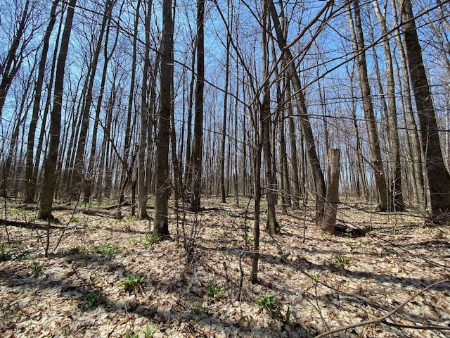 LOT6 Willow Bnd, Bellaire, MI 49615