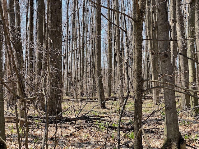 LOT6 Willow Bnd, Bellaire, MI 49615
