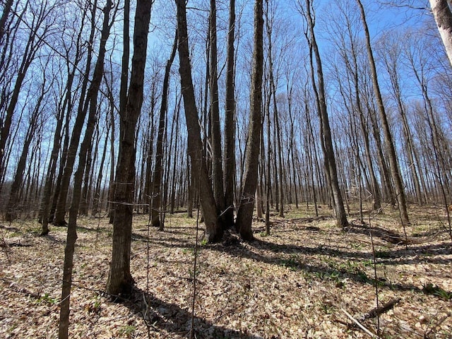 LOT6 Willow Bnd, Bellaire, MI 49615