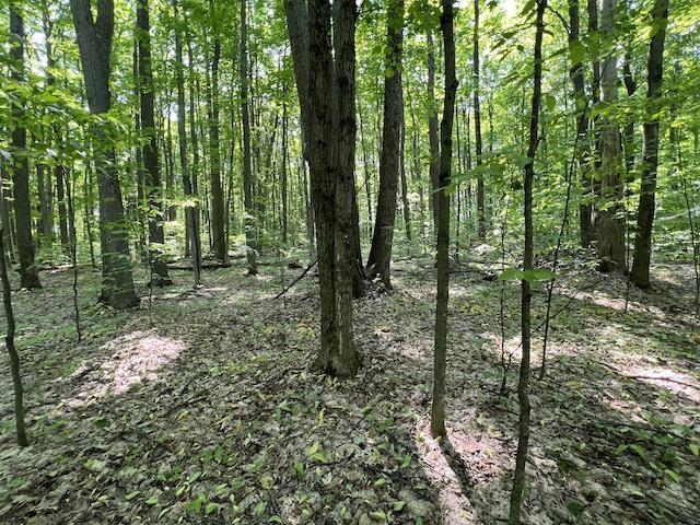 LOT6 Willow Bnd, Bellaire, MI 49615