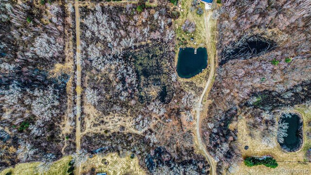 0000 Boulan Dr, Attica, MI 48412 - photo 8