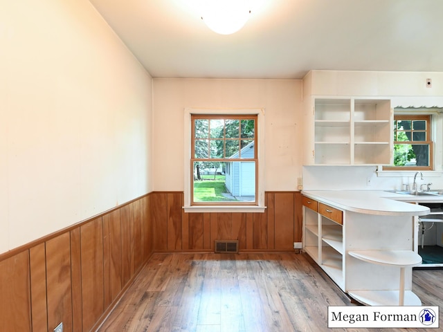 426 Mae-Thy St SE, Grand Rapids, MI 49548 - unfurnished dining area with a sink, a wainscoted wall, light wood-style floors, and wood walls