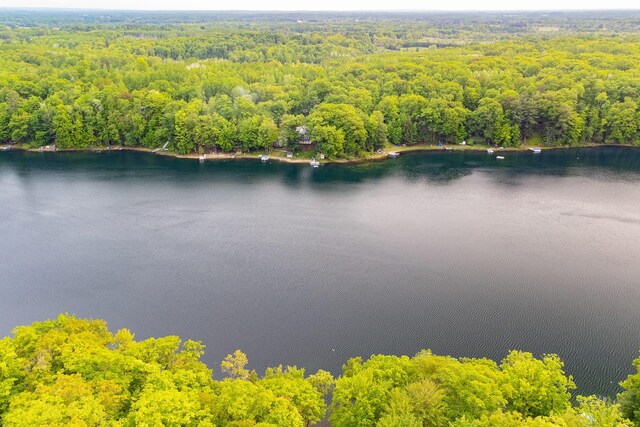 6387 N Larson Rd, Fountain, MI 49410 - bird's eye view of a forest and a nearby body of water