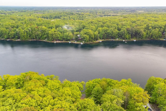 6387 N Larson Rd, Fountain, MI 49410 - bird's eye view of a heavily wooded area and a nearby body of water