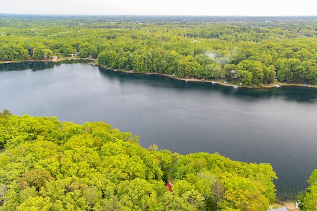 6387 N Larson Rd, Fountain, MI 49410 - bird's eye view of a forest and a large body of water