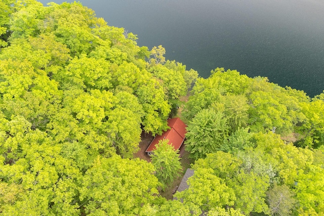 6387 N Larson Rd, Fountain, MI 49410 - aerial view of property and surrounding area featuring a heavily wooded area