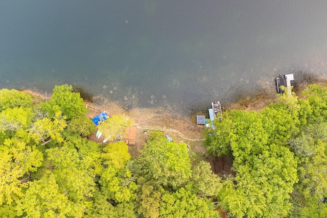 6387 N Larson Rd, Fountain, MI 49410 - bird's eye view