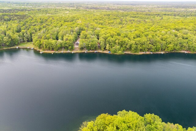 6387 N Larson Rd, Fountain, MI 49410 - drone / aerial view of a forest and a large body of water
