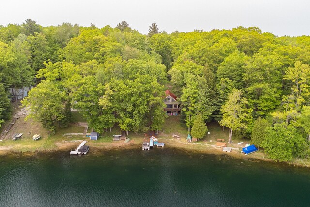 6387 N Larson Rd, Fountain, MI 49410 - view of subject property featuring a large body of water and a forest